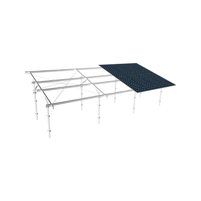 농업-극성 하이브리드 PV 장착